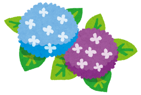 【無料有】紫陽花祭り